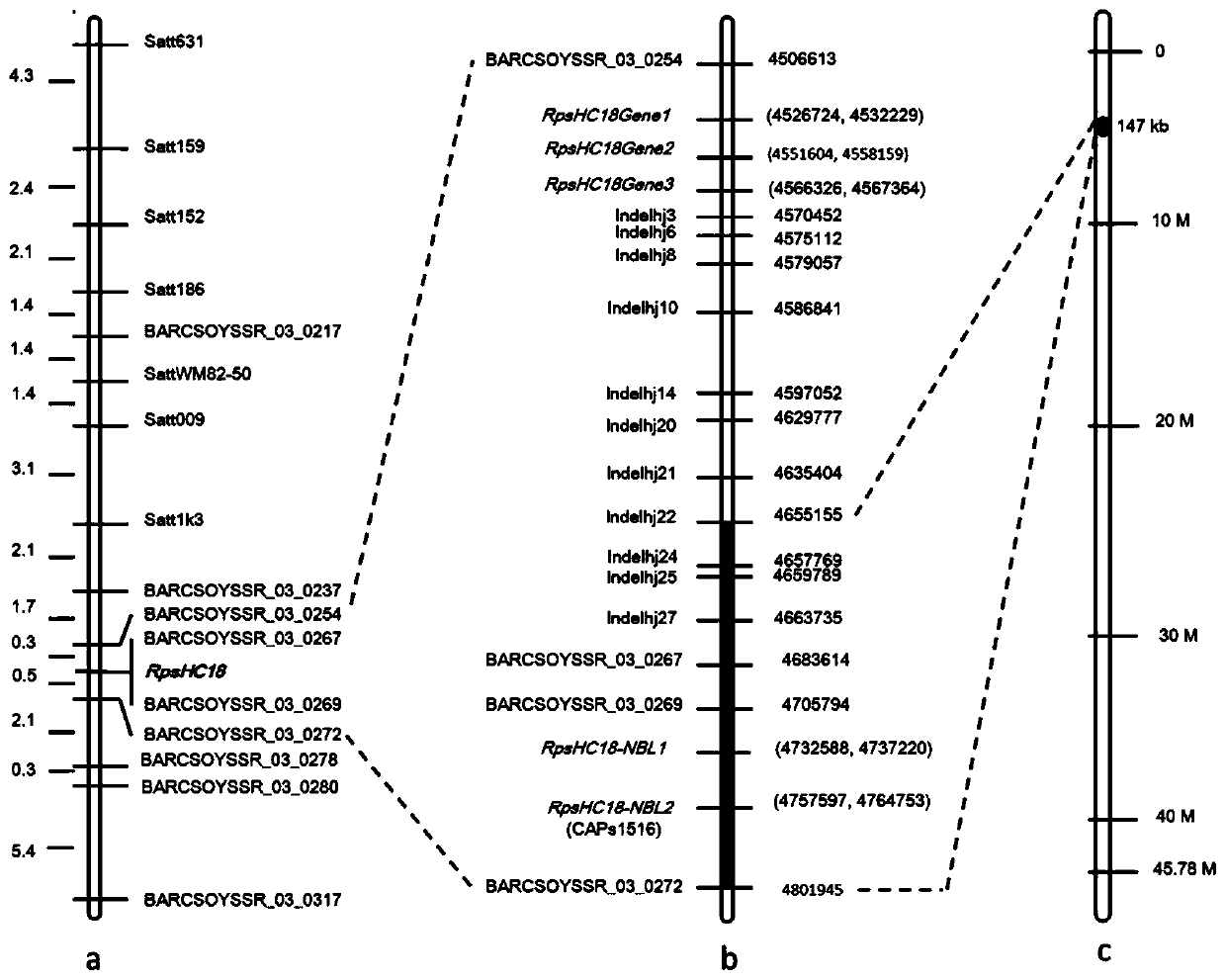 Molecular marker caps1516 tightly linked to soybean blight resistance gene and its application