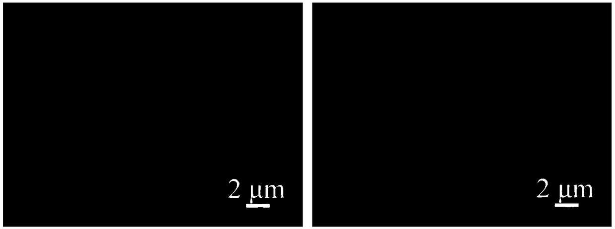 Preparation method of superhydrophilic and underwater-superoleophobic polyacrylonitrile-based oil-water separating membrane