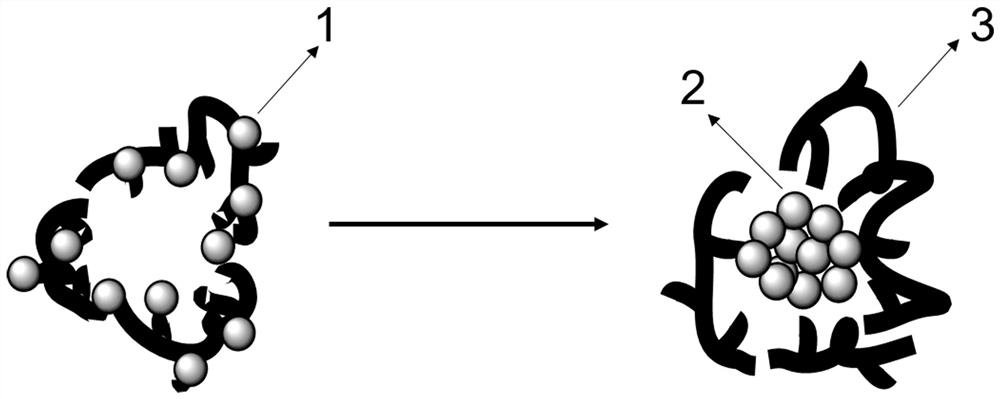 Preparation method and application of fluorescent platinum nanoclusters for optical imaging of suspended cells in blood system