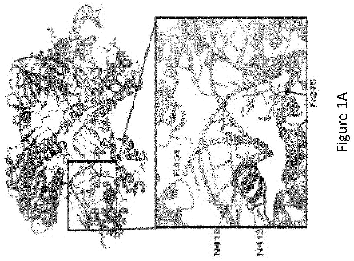 Modified protein and method for altering genome of cell