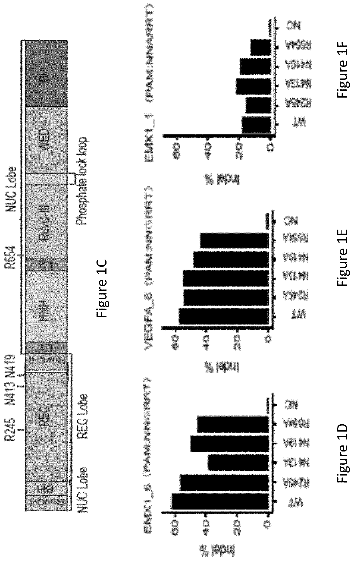 Modified protein and method for altering genome of cell