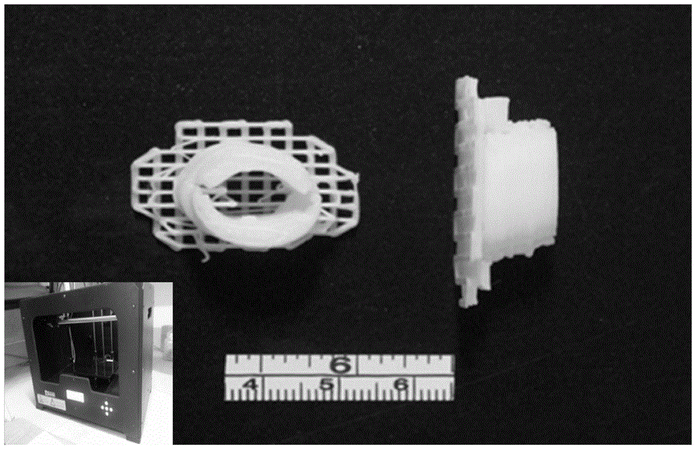 Method for constructing segmental individual human urethral tissue entity model