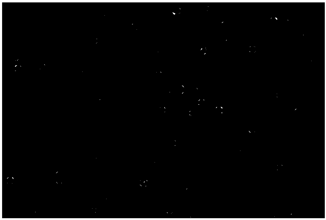 Whitening liquid crystal composition as well as preparation method and application thereof