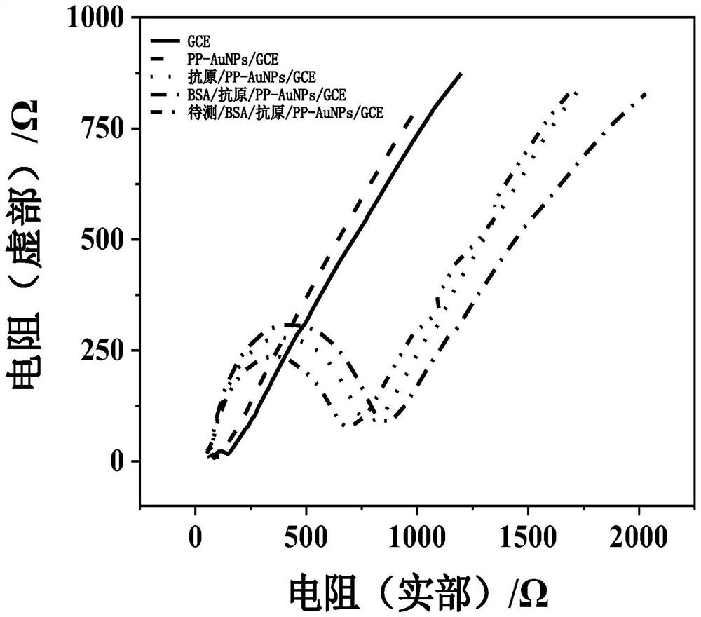 Polypeptide-nanogold modified glassy carbon electrode and application thereof