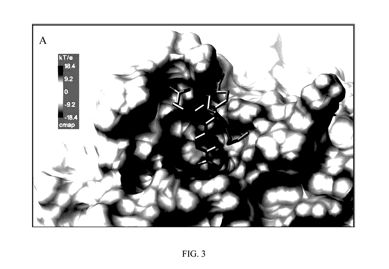 Chemical Compound for Inhibition of SHP2 Function and for Use as an Anti-Cancer Agent