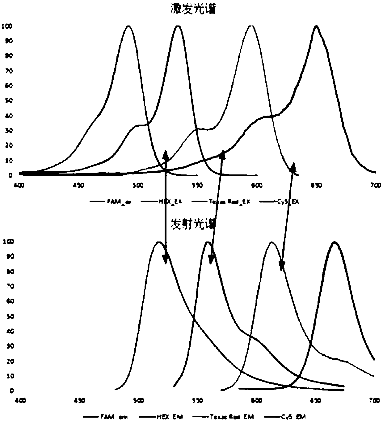 Real-time fluorescent quantitation PCR (polymerase chain reaction) instrument