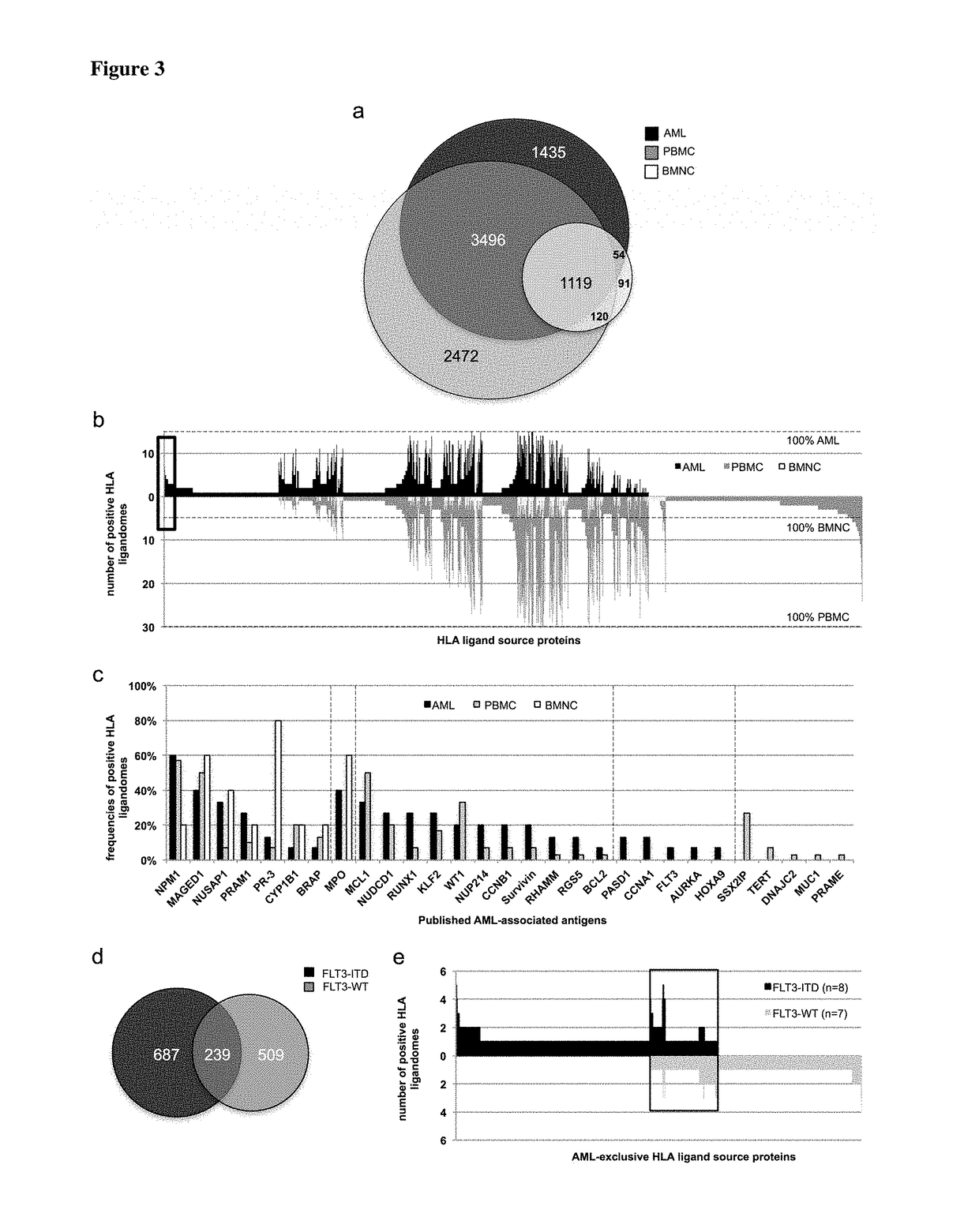 Immunotherapy against several tumors of the blood, such as acute myeloid leukemia (AML)