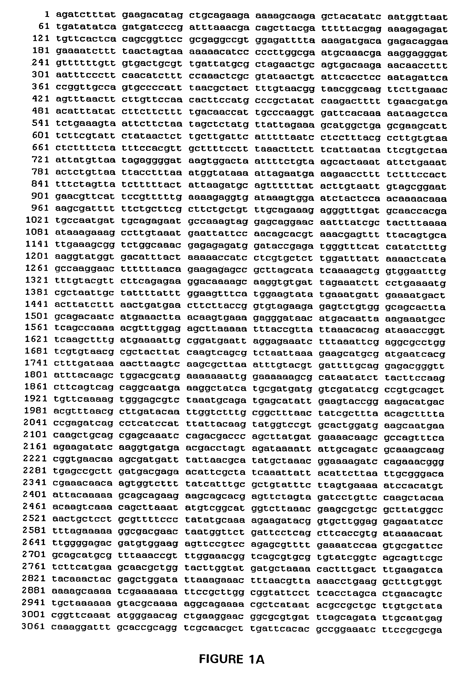 Thermostable peroxide-driven cytochrome P450 oxygenase variants and methods of use