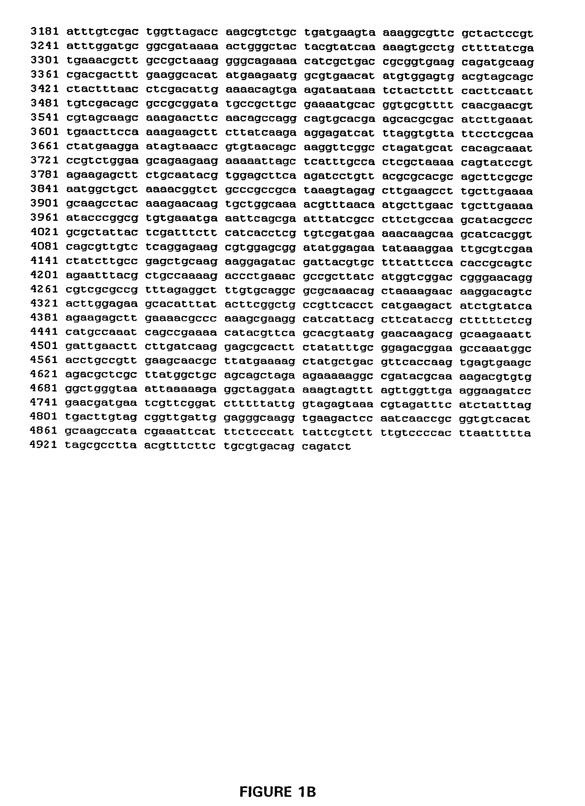 Thermostable peroxide-driven cytochrome P450 oxygenase variants and methods of use