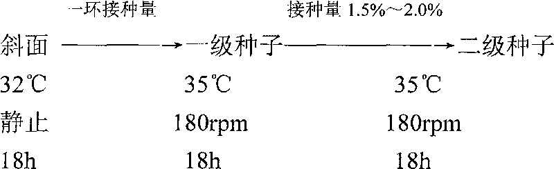 Active natto hot and spicy sauce and processing method thereof