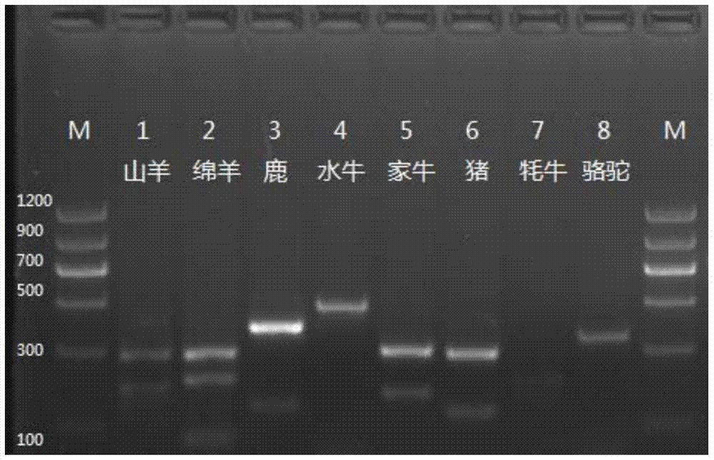 A PCR method and kit for simultaneous identification of animal-derived components