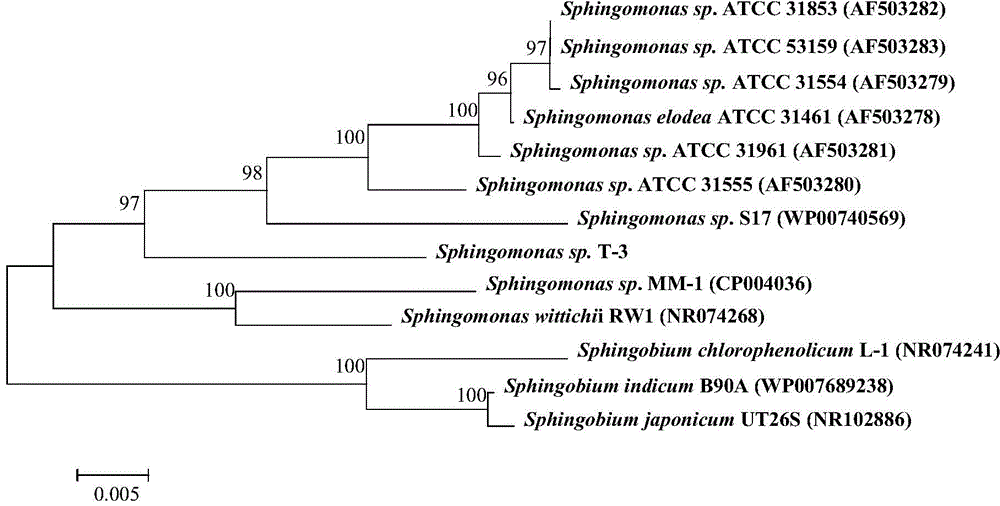 Sphingomonas sp. T-3 and method for producing biological polysaccharide and poly-beta-hydroxy-butanoic acid by co-fermentation