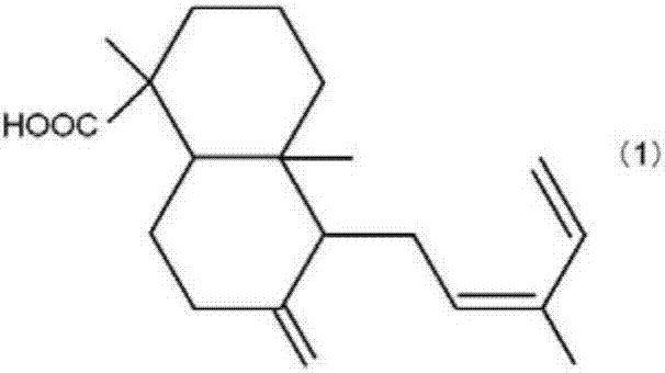 Rosin-type emulsion sizing agent and paper obtained using the sizing agent