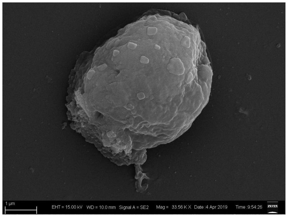 A method for efficient hydrogen production based on biomineralization of chlorella cells