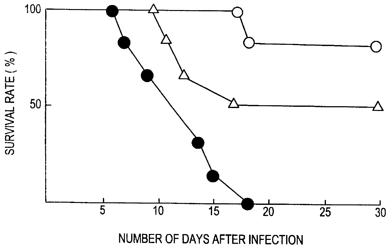 Agent for the treatment of infections