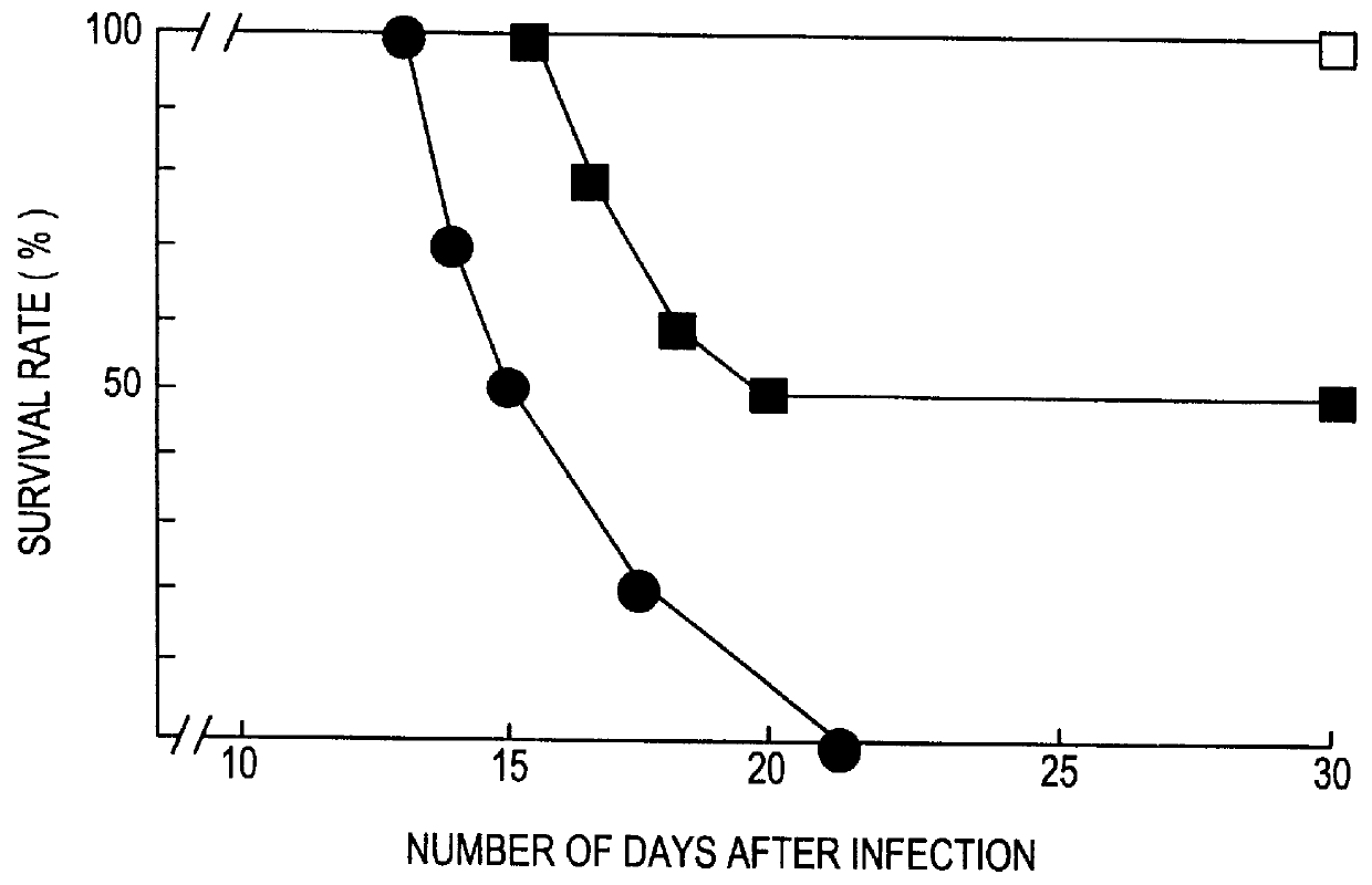 Agent for the treatment of infections