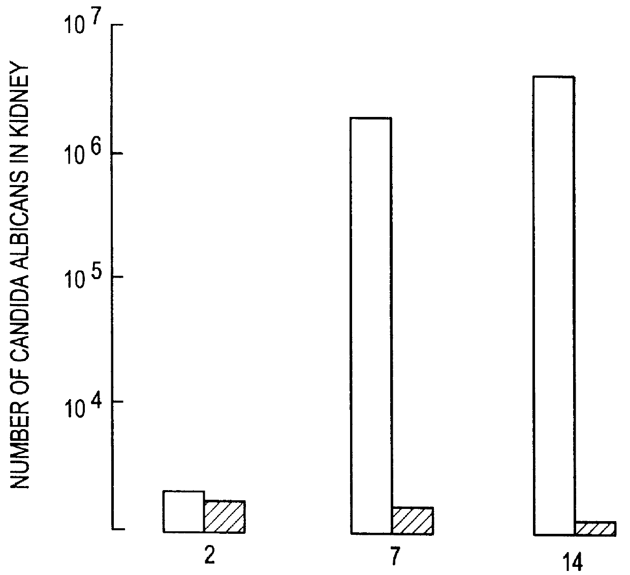 Agent for the treatment of infections