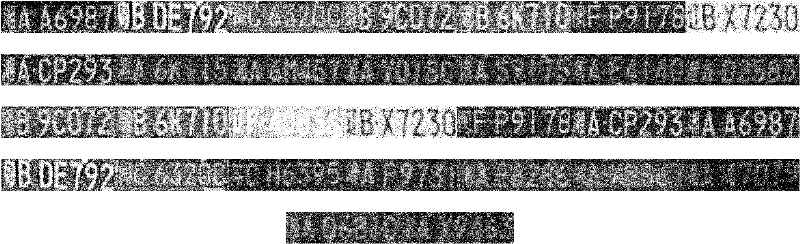 License plate localization and identification method based on high-definition image