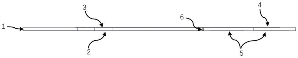 Dual-polarization patch antenna array for artificial surface plasmon polariton feed