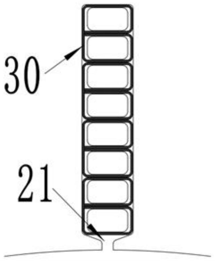 Motor stator and motor