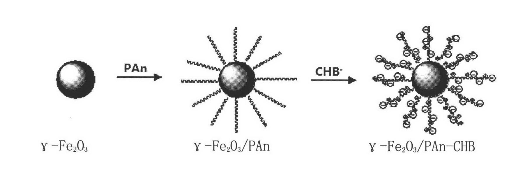 Nanometer gamma-ferric oxide/ polyaniline- chlorambucil and preparation method