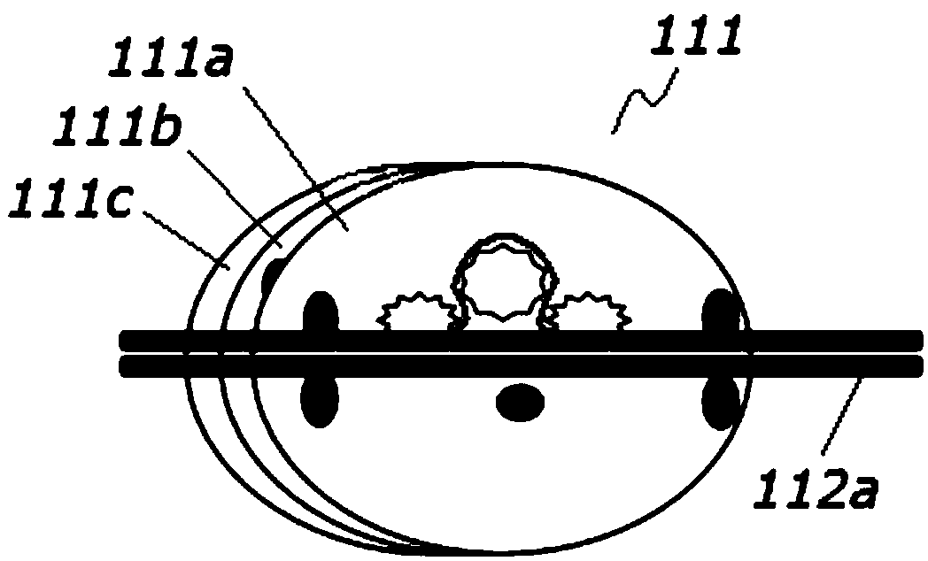 Variable topology spoke walking biped robot