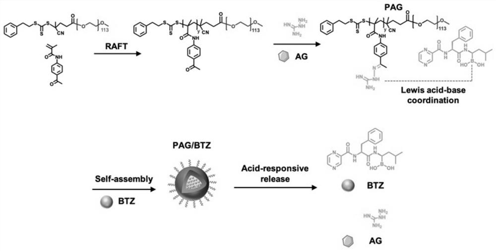 Immune activation-based guanidinylation nano-drug as well as preparation and application thereof