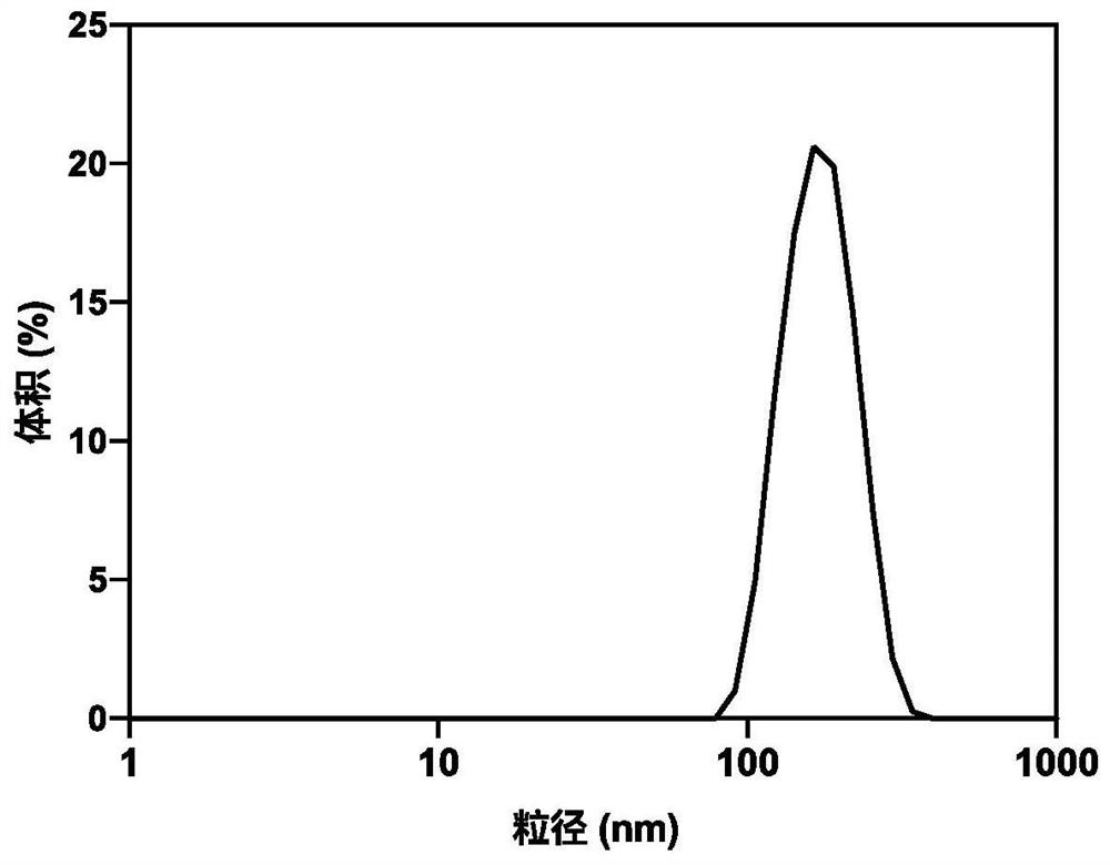 Immune activation-based guanidinylation nano-drug as well as preparation and application thereof