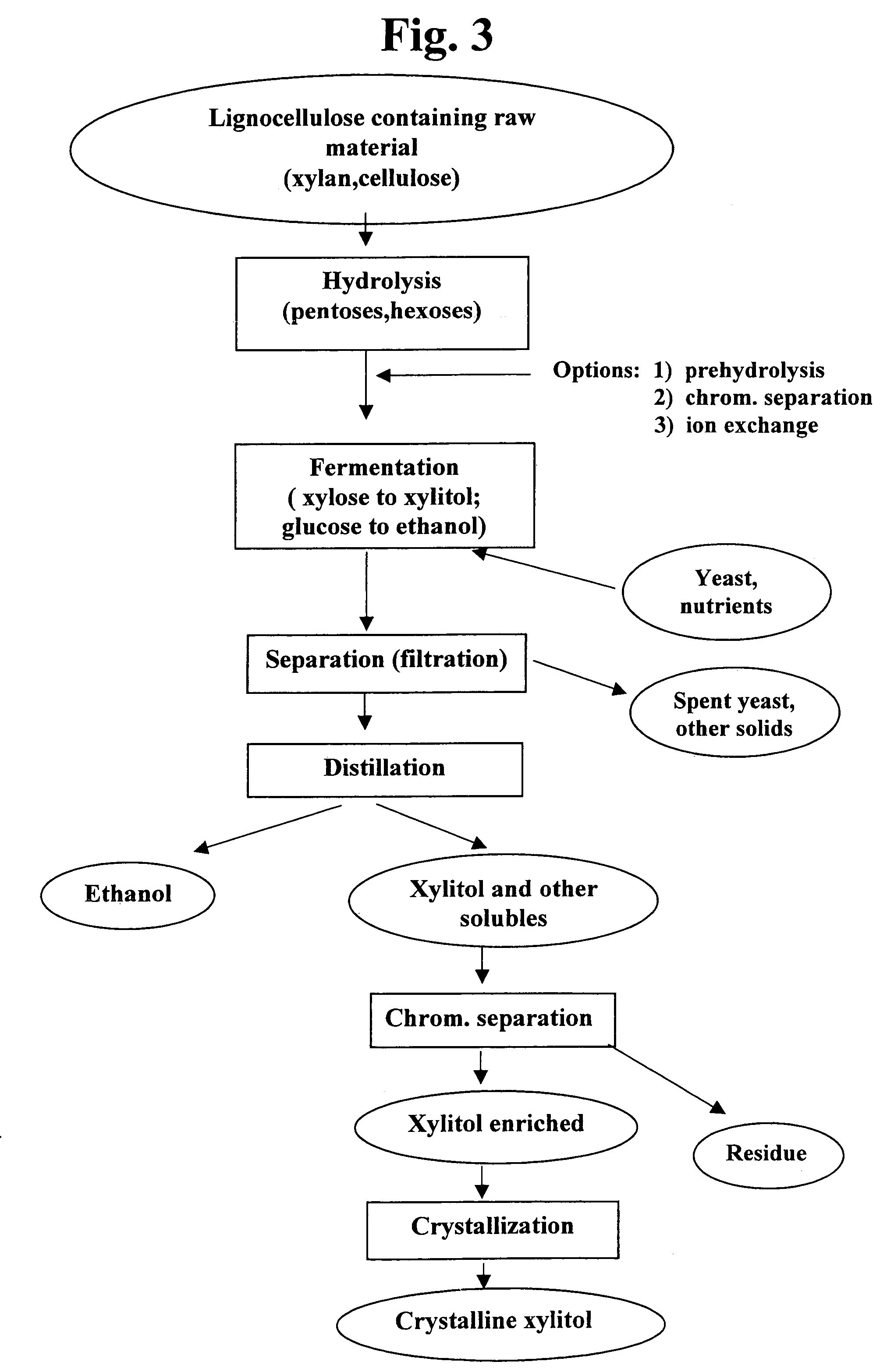 Process for the simultaneous production of xylitol and ethanol