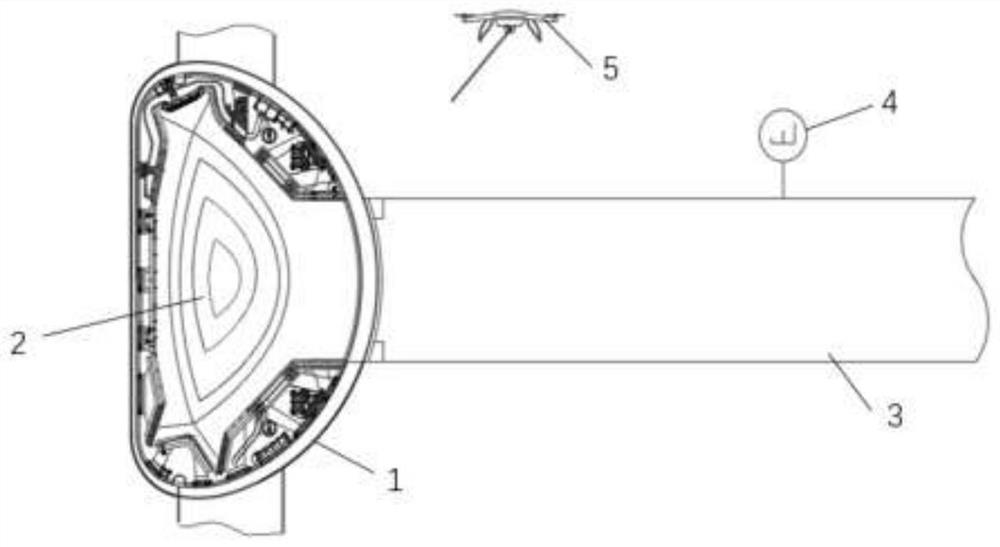 Remote leakage detection system applied to fusion reactor and leakage detection method of system