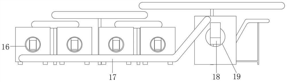 Full-automatic white peony root cleaning line