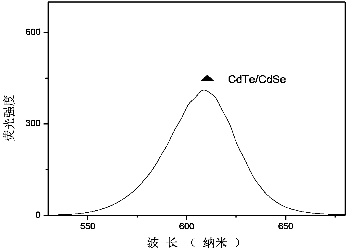 Preparation method of water phase CdTe/CdSe core-shell quantum dots for rapid fingerprint appearance