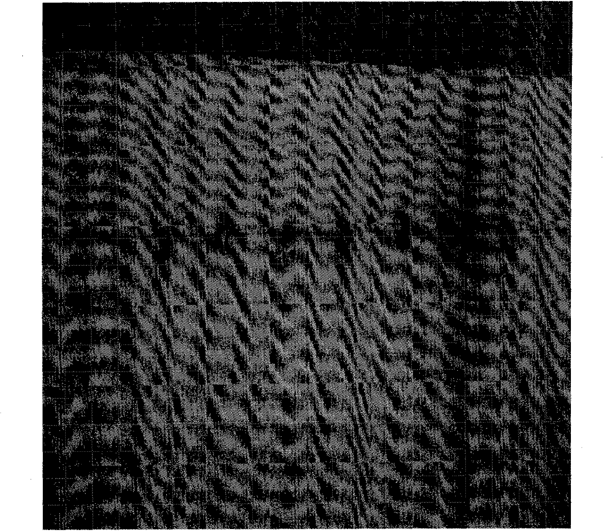 Fusarium graminearum caused rootstock rot seedling-stage resistance identification method