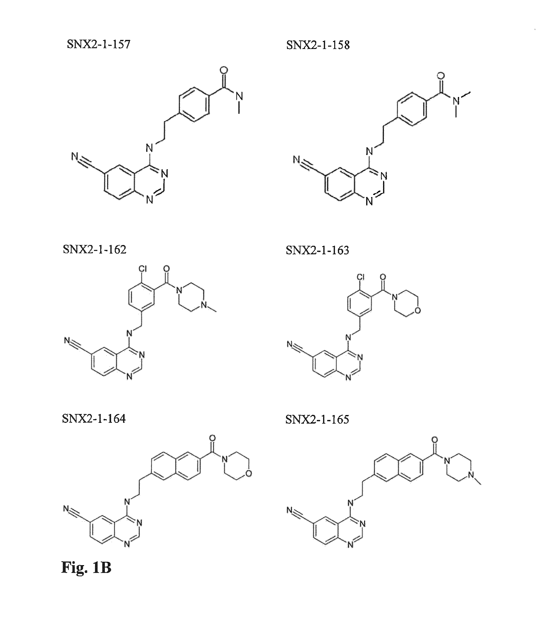 CDK8-CDK19 selective inhibitors and their use in anti-metastatic and chemopreventative methods for cancer