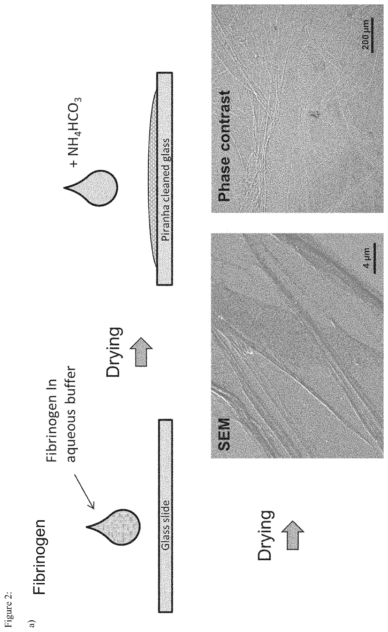 Methods of production of fibrous fibrinogen scaffolds and products thereof