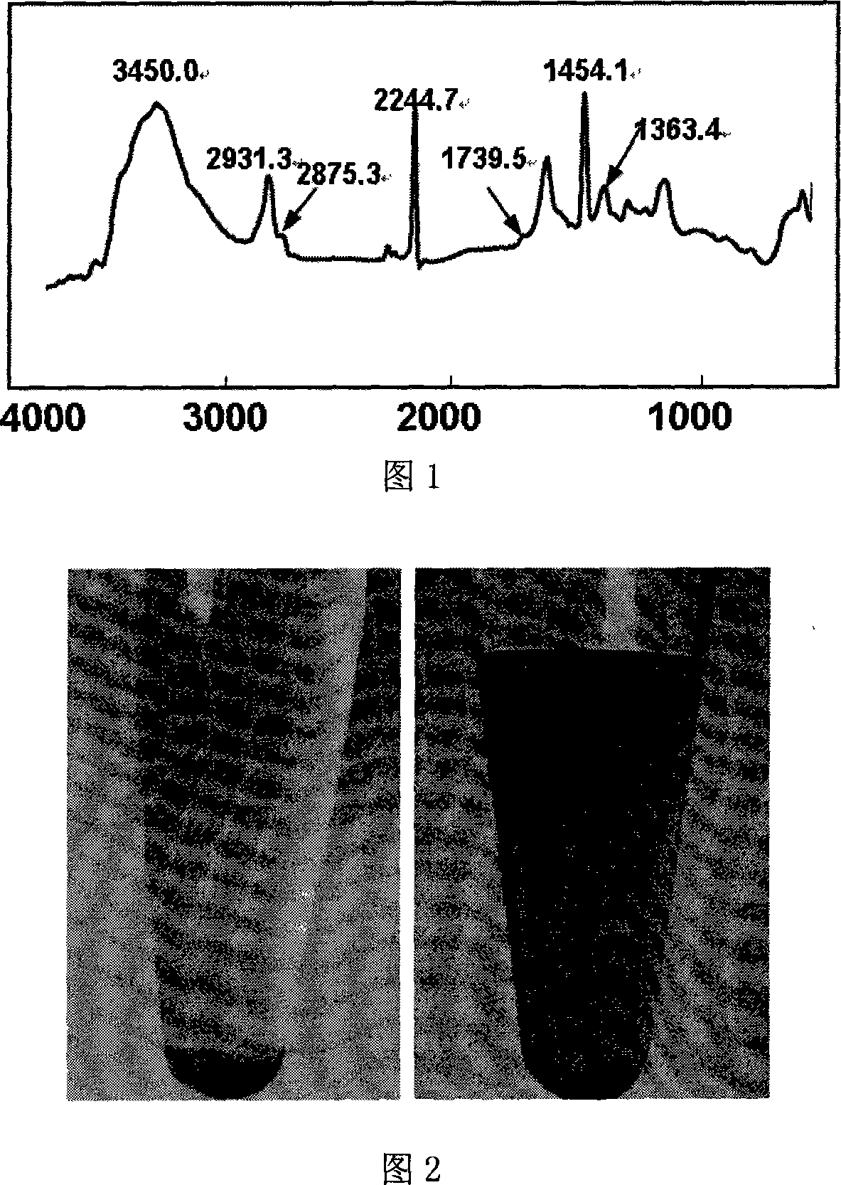 Method for preparing graft polymer containing carbon nano-tube