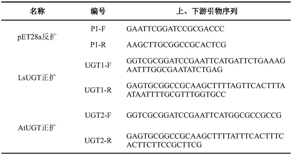 Construction and application of engineering strain for biosynthesizing momordica grosvenori glucoside V by taking mogrol as substrate