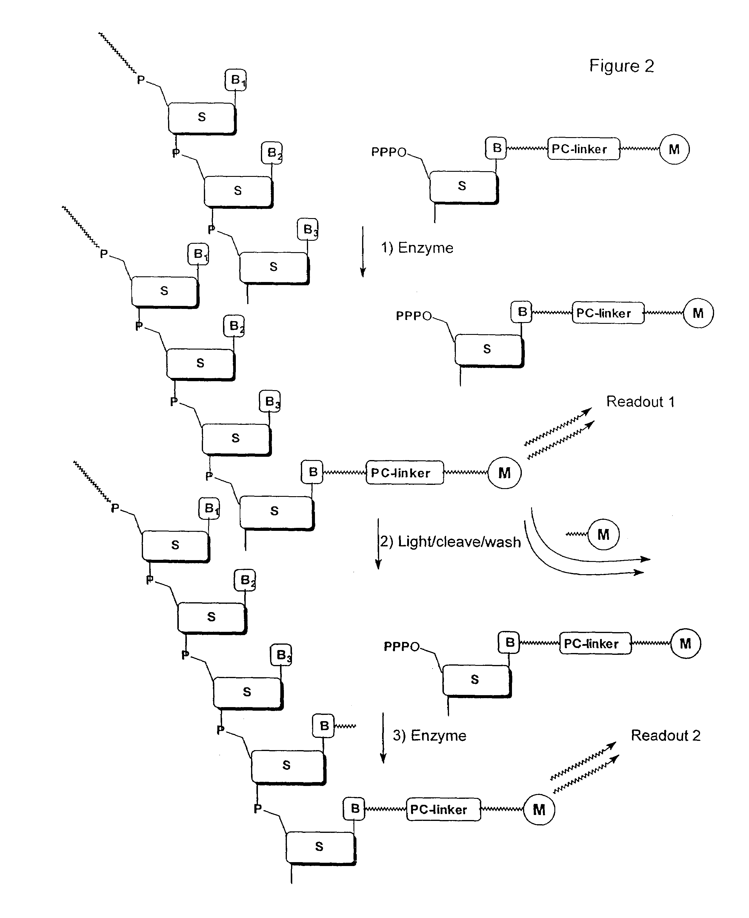 Nucleotide compositions comprising photocleavable markers and methods of preparation thereof