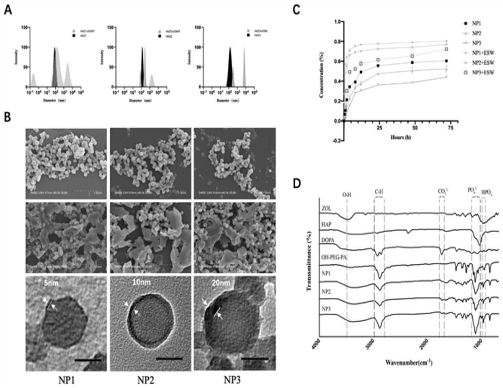 Application of hollow nano-particles in preparation of medicine for treating osteoporosis