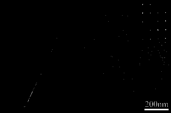 Preparation method of manganese tungsten single-crystalline nanowire