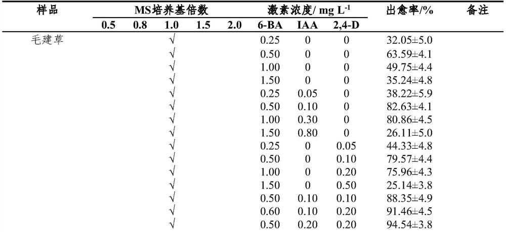 A kind of culture medium group and its application of the tissue culture rapid propagation of the plant