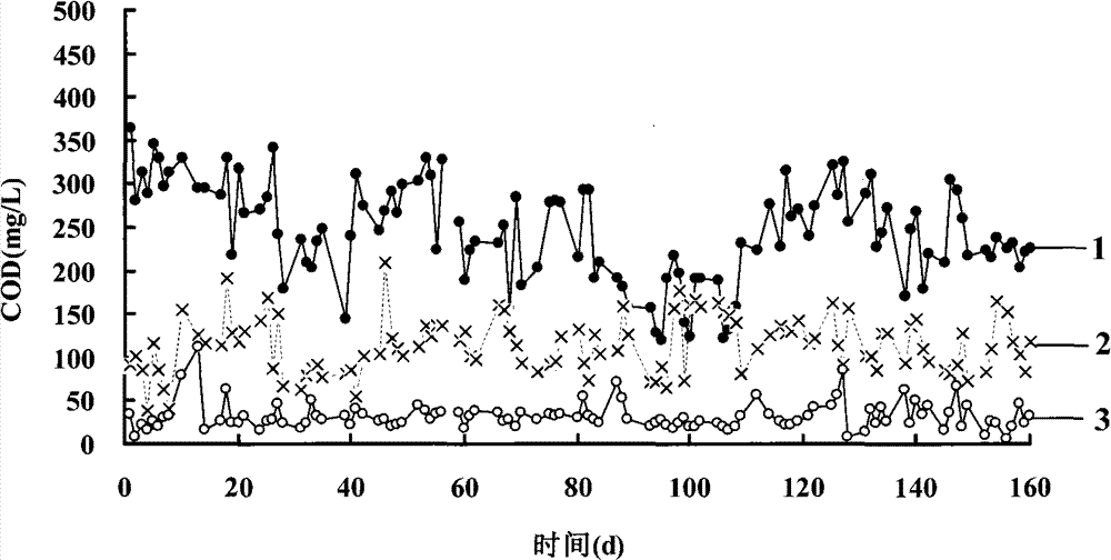 Sludge reduction method of urban wastewater treatment process