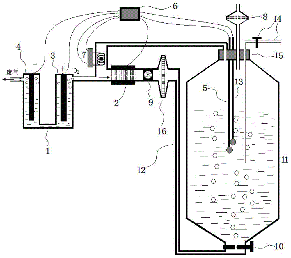 Airlift type magnetic anion bioreactor