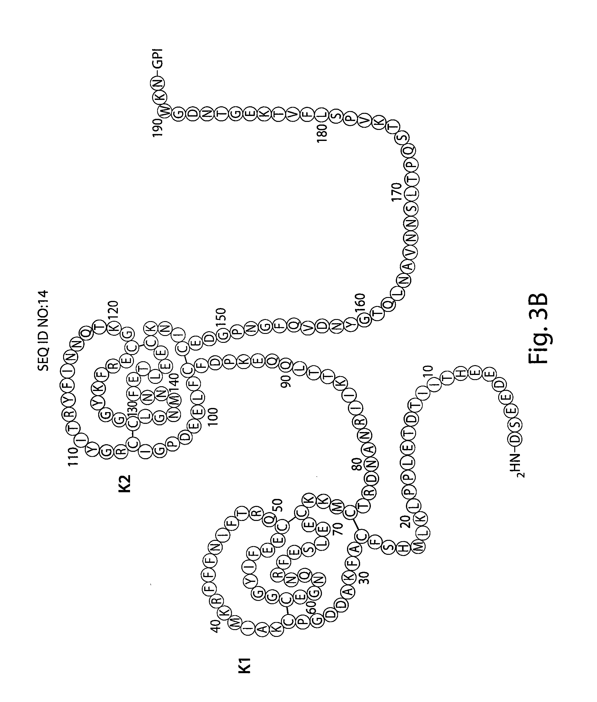 Aptamers to tissue factor pathway inhibitor and their use as bleeding disorder therapeutics