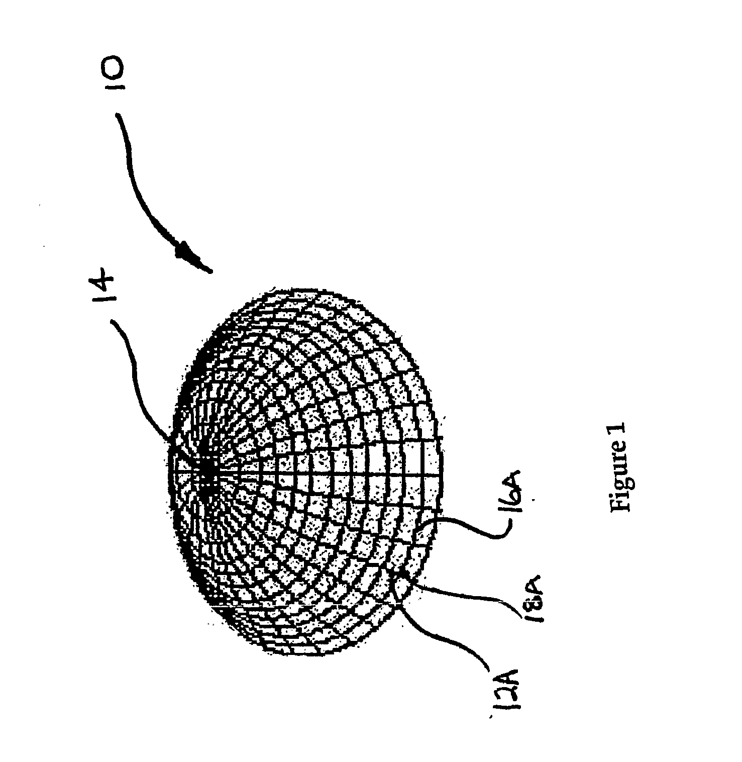 Corneal Biometry Apparatus and Method