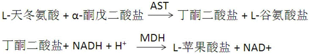 Dry chemical bigeminal reagent strip for simultaneously detecting glutamic oxalacetic transaminase and glutamic-pyruvic transaminase