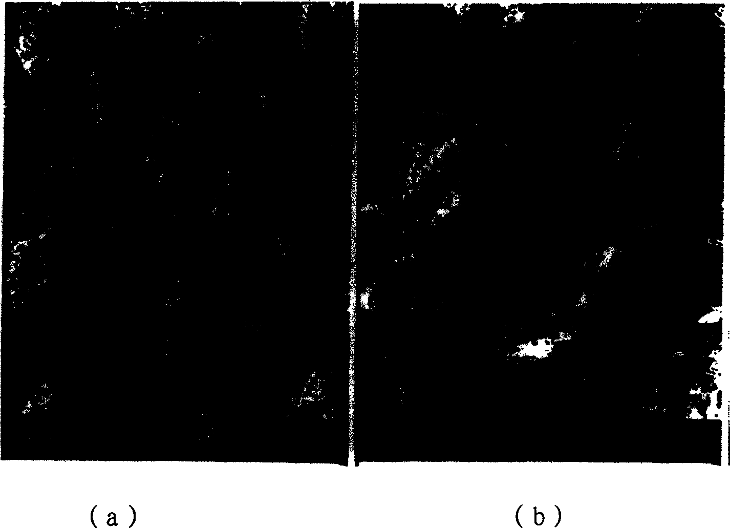 Preparation method of artificial endometrium