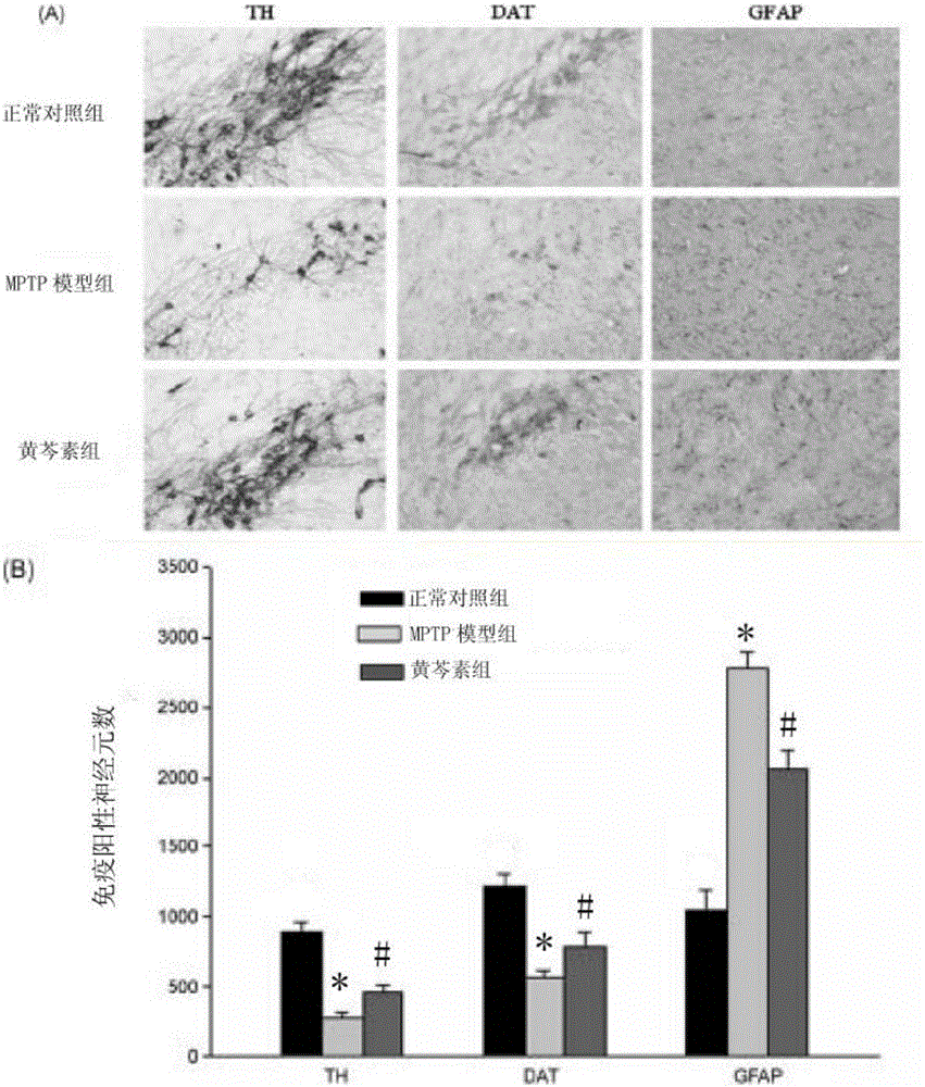 Application of baicalein to preparation of medicament for preventing and treating Parkinson's disease