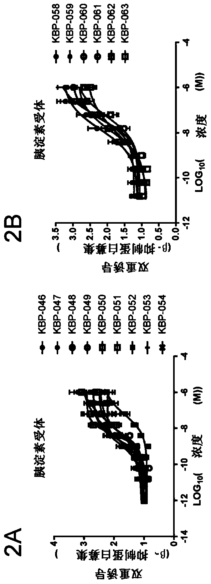 Calcitonin mimetics for treating diseases and disorders