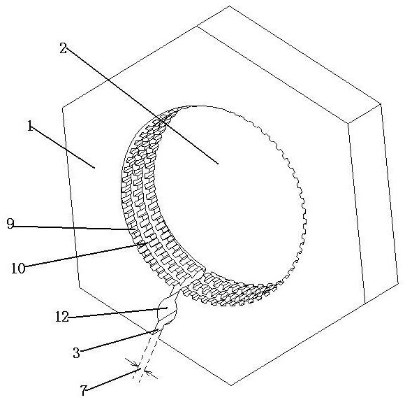 Screw fastener for preventing looseness